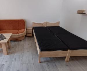 u Oli Dawid Spaczyński