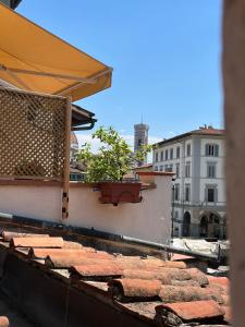 14th central market square