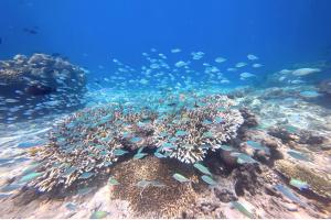 The New Gili Kolanta Indah