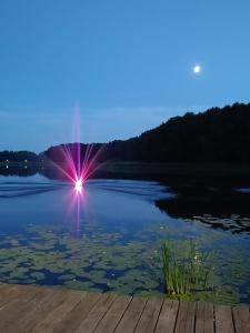 Zielony apartament z widokiem na jezioro