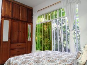 Relax in the Amazon, Tena