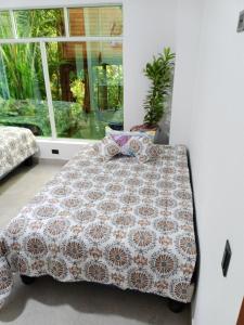 Relax in the Amazon, Tena