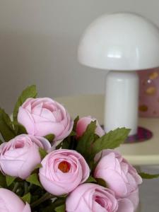 Appartements Blush spot : photos des chambres