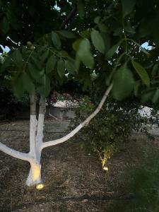 Luxury Apartment Vavi Kedros