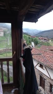 La casa de los gatos