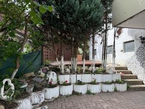 Apisha Apartment 4