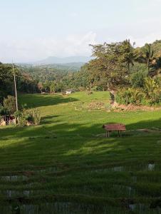 Belihuloya Escape and Cafe