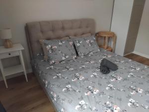 Platinum 1 bedroom apartment