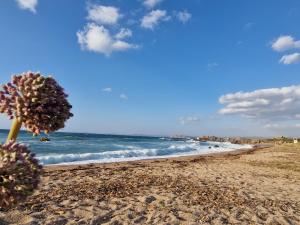 Sardegna segreta a pochi passi dal mare img56
