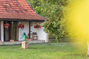 Ruralna kuća za odmor Bor Anya