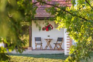 Ruralna kuća za odmor Bor Anya