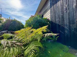 Maisons de vacances Maison atypique, au coeur de Sainte Marine : photos des chambres