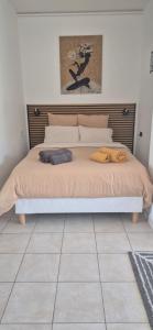 Cannes Studio near Croisette Plage