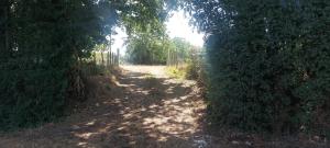 Maisons de vacances Le Petit Gite : photos des chambres