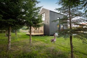 KJM - Leśna Przystań