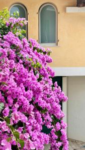 Borgo dei Sogni - Deluxe Apartment with Terrace - Lago di Garda