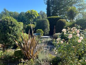 le Bosc de castang