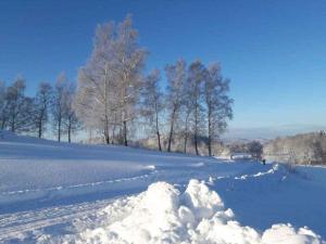 Holiday home in Nova Ves nad Nisou - Riesen- und Isergebirge 43191