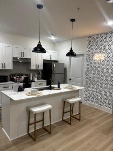 Houston Luxury 2bd Apartment