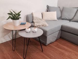 Grace Apartment in Florence