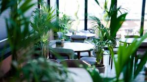 CNK Hotel By Millennium Group