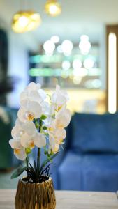 CNK Hotel By Millennium Group