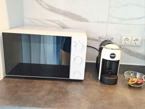 Park Lake New building