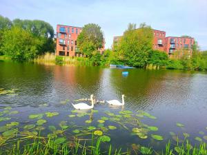 Park Lake New building