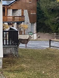 Sejours chez l'habitant Chambre Zen Chez l-habitant en Foret : photos des chambres
