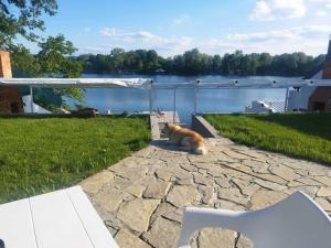 Silverapartmani Srebrno jezero