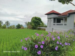 Riels farm by nyaman Disini