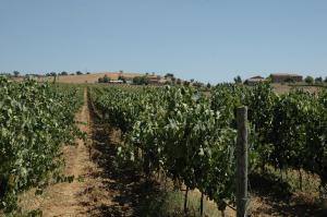 Agriturismo Pian dei Pini