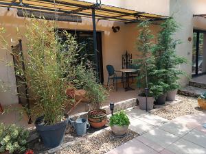 B&B / Chambres d'hotes Mas Auroma : photos des chambres