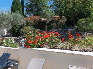 B&B / Chambres d'hotes Mas Auroma : photos des chambres