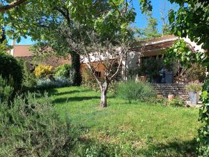 B&B / Chambres d'hotes Mas Auroma : photos des chambres