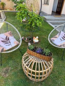 Apartmani Zara & Duje