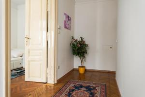 Heritage Apartments in Historical Musician Residence of Josef Klein