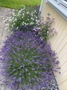 Charmig Villa bredvid sjön Örlen