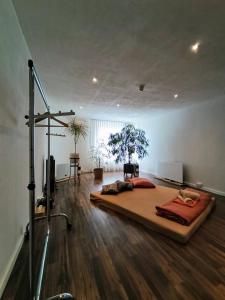 Oase der Ruhe- Übernachten in der Gesundheitspraxis im Herzen von Basel