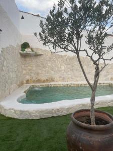Los Templarios, Toledo cerca de Puy du Fou