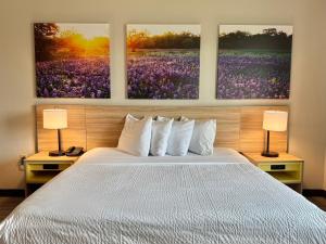 King Studio - Non-Smoking room in Days Inn & Suites by Wyndham Houston / West Energy Corridor