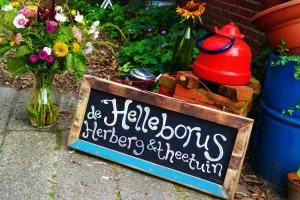 Eco-Camping De Helleborus, Yurt, Bell & Safari tent, Pipo, Caravans, Dorms and Units - Engelbert