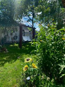 Ozierański Raj "Pod rzeźbami"