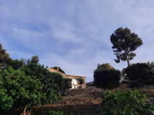 Villas Maison Lou Paradou : photos des chambres