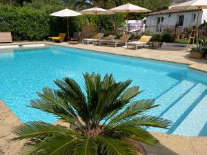 Villas Villa provencale Golfe St Tropez climatisee piscine chauffee, Spa, billard, Wifi haut debit pro : photos des chambres