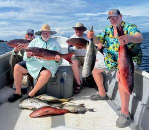 Luxury Beachfront House with Pool