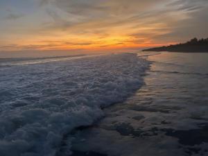 Luxury Beachfront House with Pool