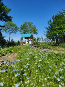 Hofstede Reigersberg