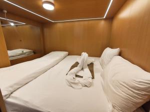 ACD HOTELs