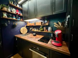 Appartements LE JOSEPHINE - Havre de paix proche Paris : photos des chambres